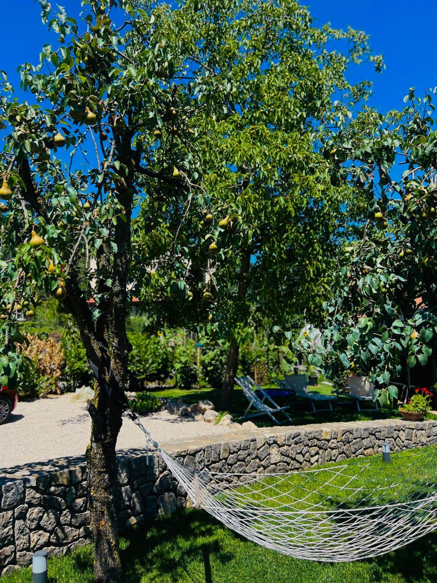 Dolce Risveglio Villa Agerola Eksteriør billede